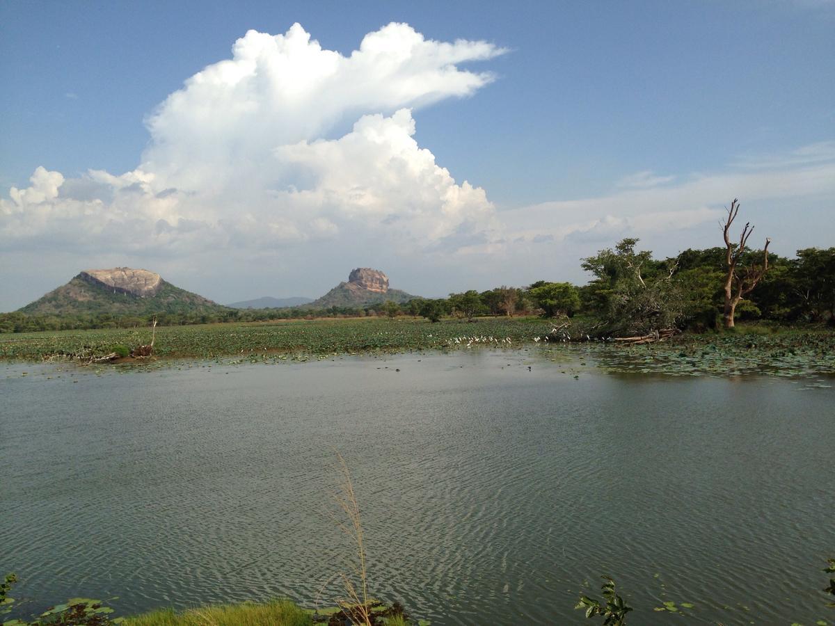 Mowgli Cottage Sigiriya Exteriér fotografie