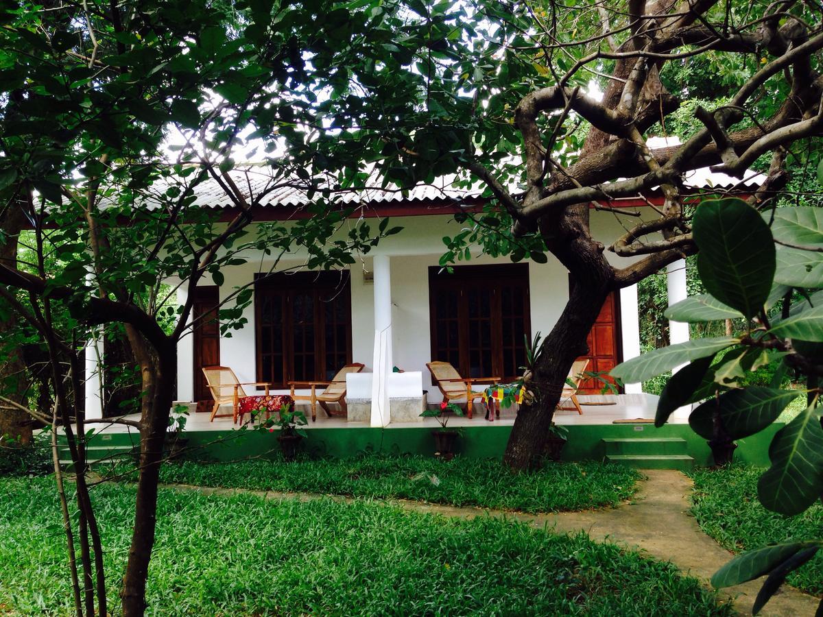 Mowgli Cottage Sigiriya Exteriér fotografie